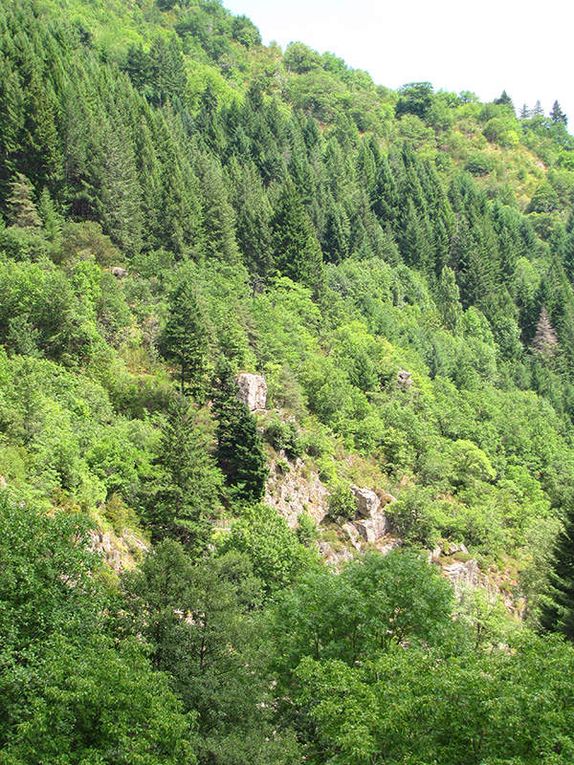 Elan Sud porte le livre en Ardèche, dans la vallée de l'Eyrieux avec 4 auteurs