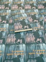 Le monde après la pluie, de Fabien Hertier… tour d'horizon et interview