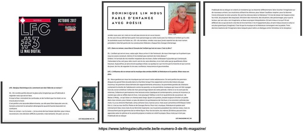 Un goût de terre dans la bouche, le 6e roman de Dominique Lin très remarqué