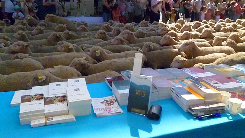 Le sourire est toujours de mise chez les auteurs Elan Sud