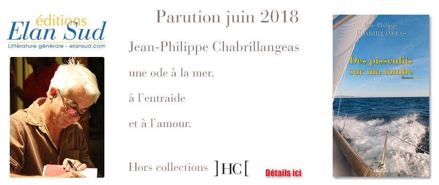 Des pissenlits sur ma tombe, de Jean-Philippe Chabrillangeas, chez Elan Sud