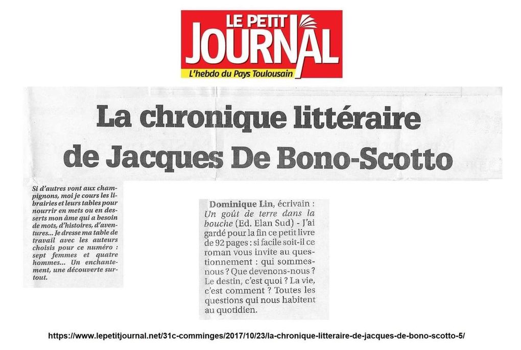 Un goût de terre dans la bouche, le 6e roman de Dominique Lin très remarqué