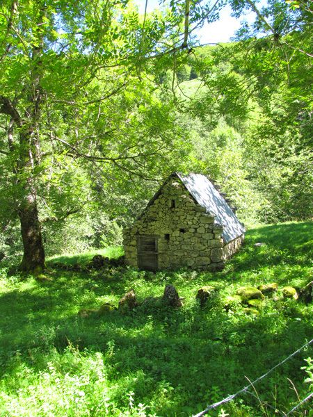 Faites défiler les images en diaporama