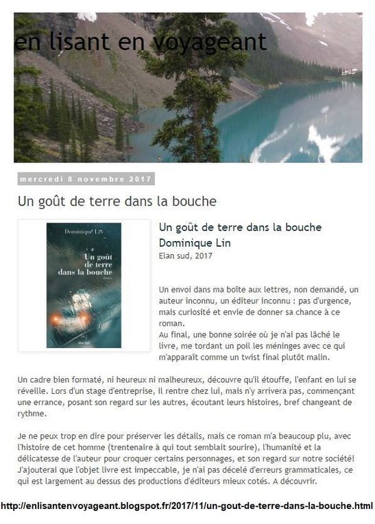 Un goût de terre dans la bouche, le 6e roman de Dominique Lin très remarqué