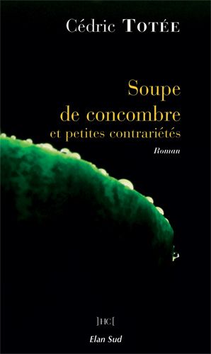 Soupe de concombre et petites contrariétés, roman de Cédric Totée, lauréat 2015 du Prix Première chance à l'écriture