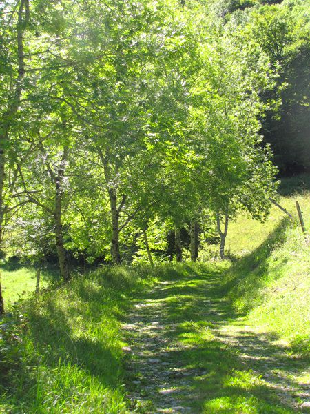 Faites défiler les images en diaporama