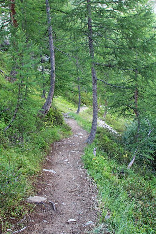 Ariège, Alpes, Drôme et Vaucluse, les auteurs en dédicaces