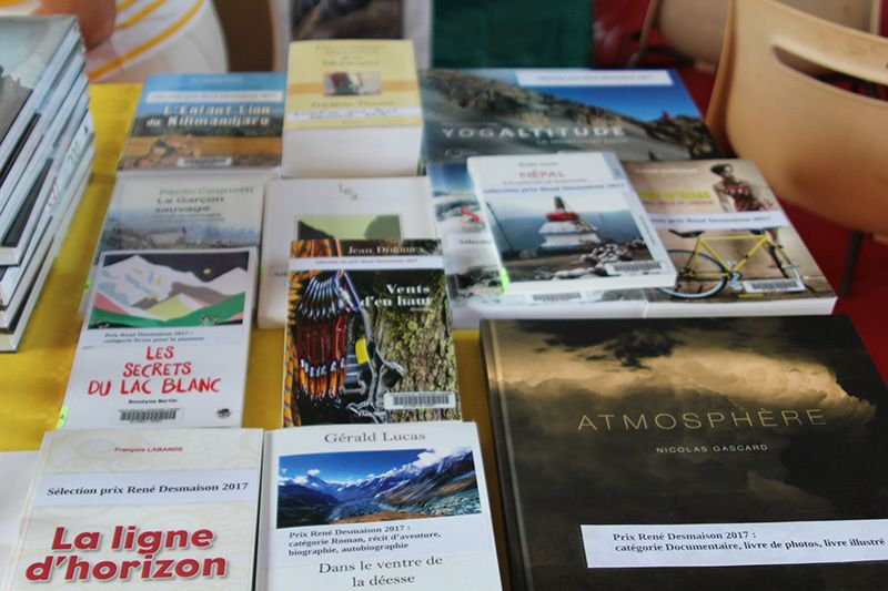 Dominique Lin tente la voie du Prix des Écrins René Desmaison